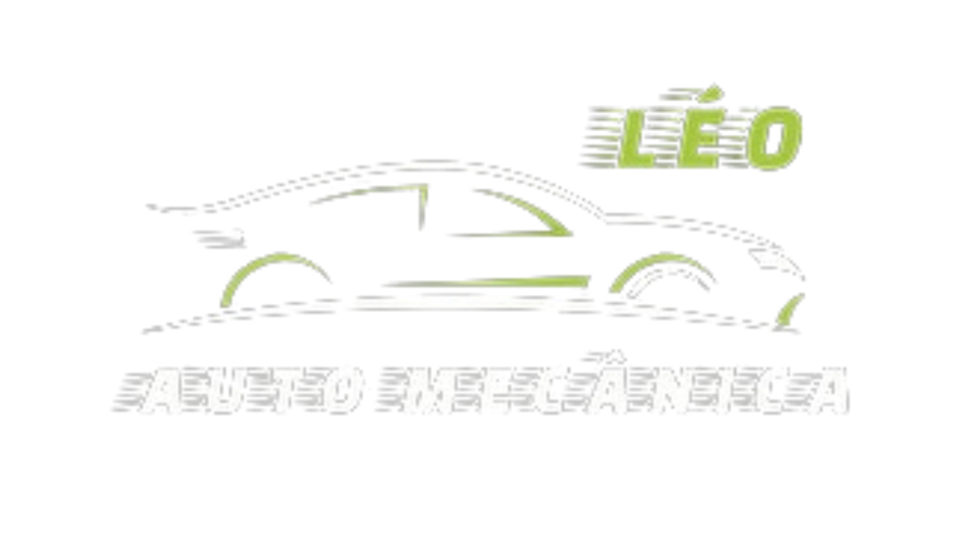 Auto Mecânica em Ribeirão Preto/SP | Léo Service Car